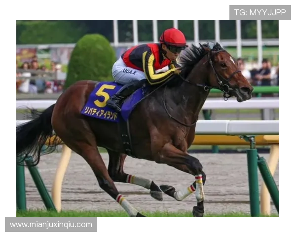 一赛马资讯全方位报道涵盖赛事安排、奖金信息及赛马技巧分享