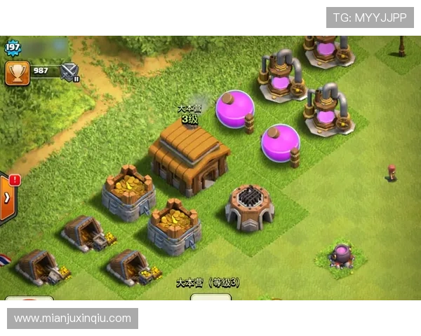 华都娱乐有限公司如何打造高品质游戏体验满足玩家多样化需求