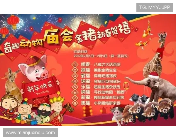 澳门六合彩在线登录指南详解，帮助新手快速掌握登录流程与安全保障