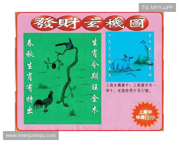 澳门彩旗舰厅登录线路详细解析，帮助玩家轻松应对登录问题与安全保障